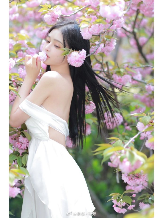 影